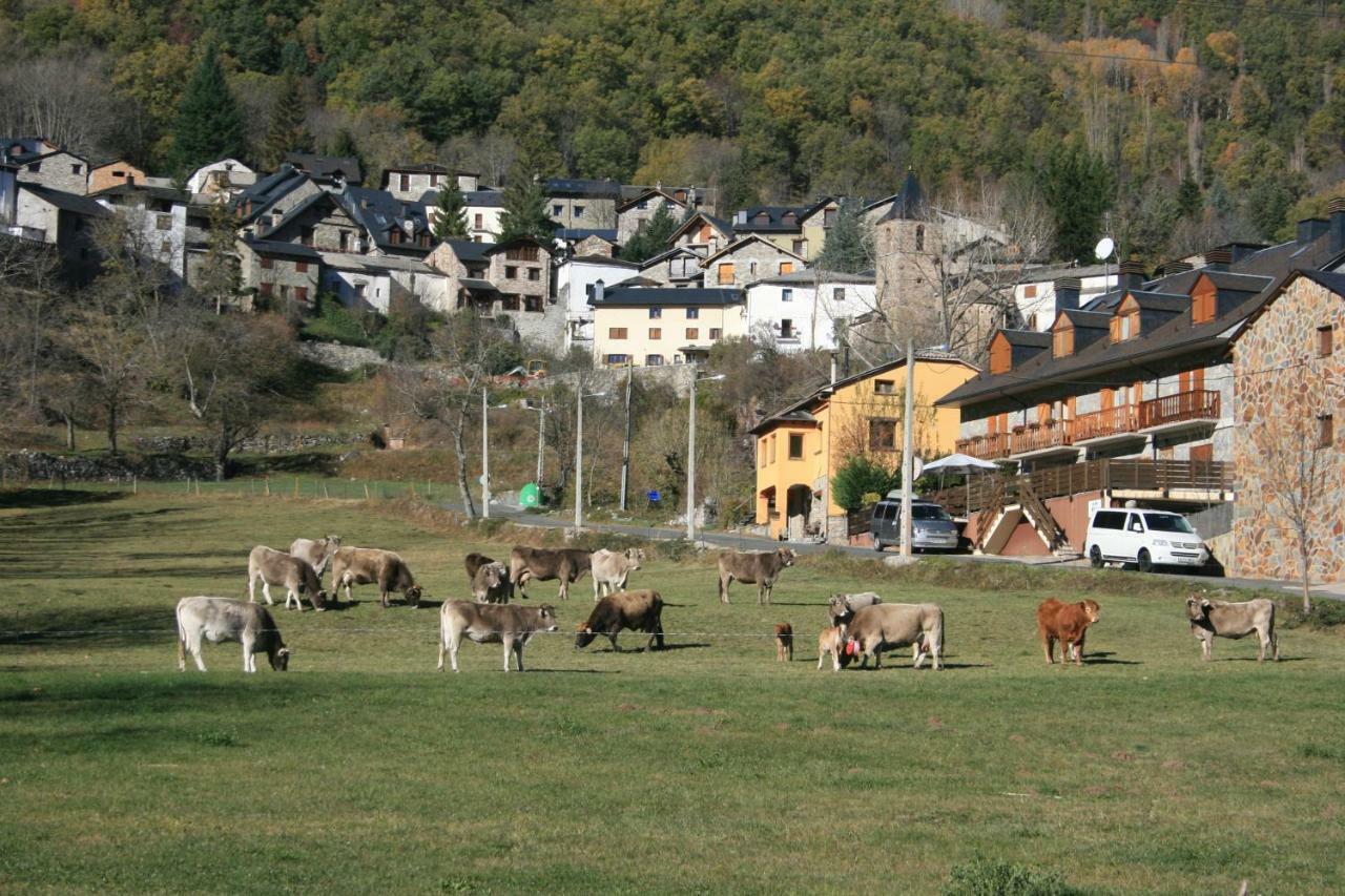 Esera Dos Catedrales Lägenhet Villanova Exteriör bild